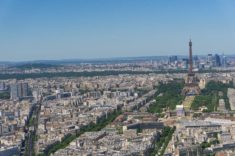 Eiffel Tower viewed from Montparnasse Tower
