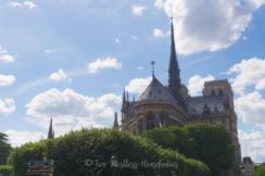 Notre Dame from the street behind