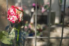 Jim Morrison's tomb and flower