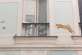 Jumping cat trompe l'oeil art, Rue Cremieux