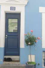 One of Rue Cremieux's feline residents