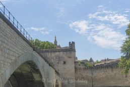 avignon from pont benezet