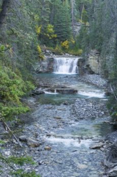 johnston canyon falls