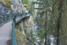 johnston canyon walkway