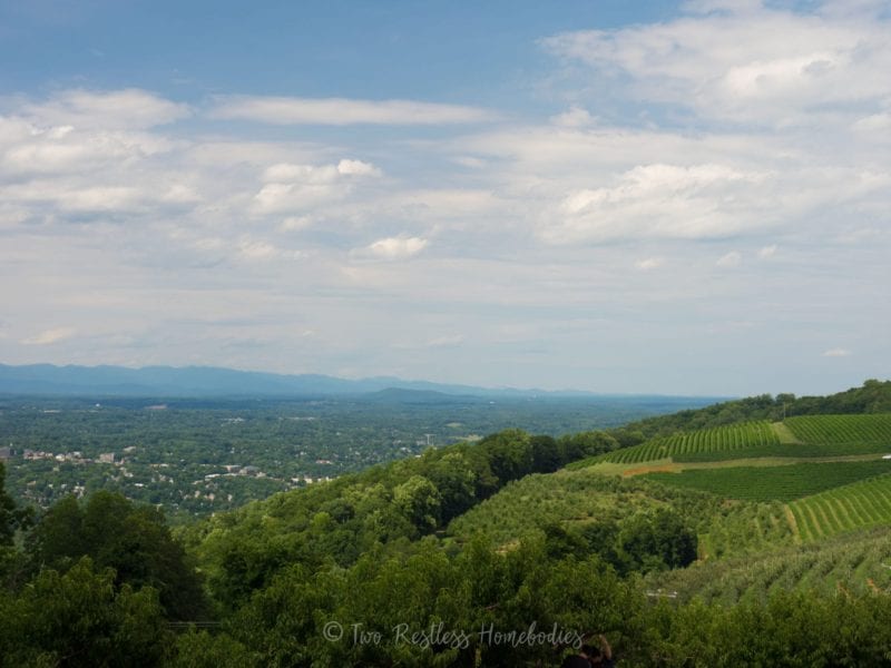 The view from Carter Mountain Orchard