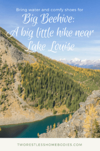 big beehive hike alberta canada