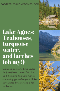lake agnes teahouse turquoise water larches alberta
