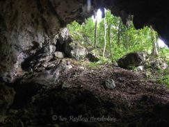 Cave tubing near entrance to Footprint Cave