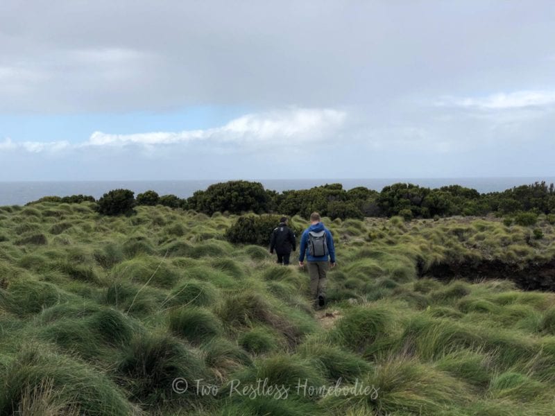 Baias-da-Agualva-Luke-and-Juca-walking-through-sea-grass-Terceira-Azores