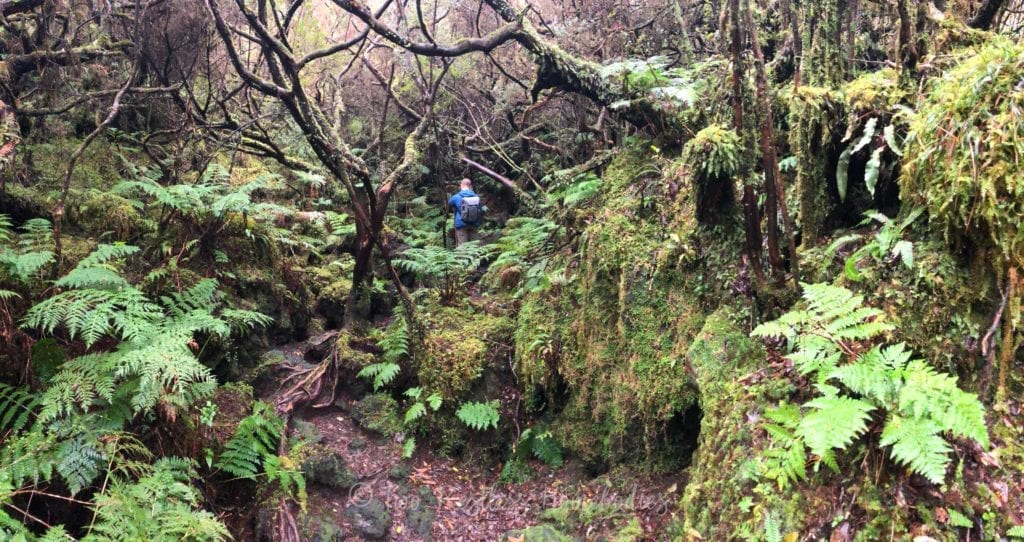 What's the best time to visit Azores? Azores weather in February and ...