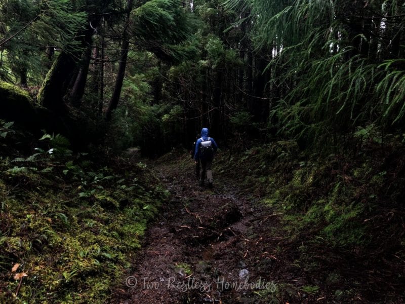 What's the best time to visit Azores? Azores weather in February and ...