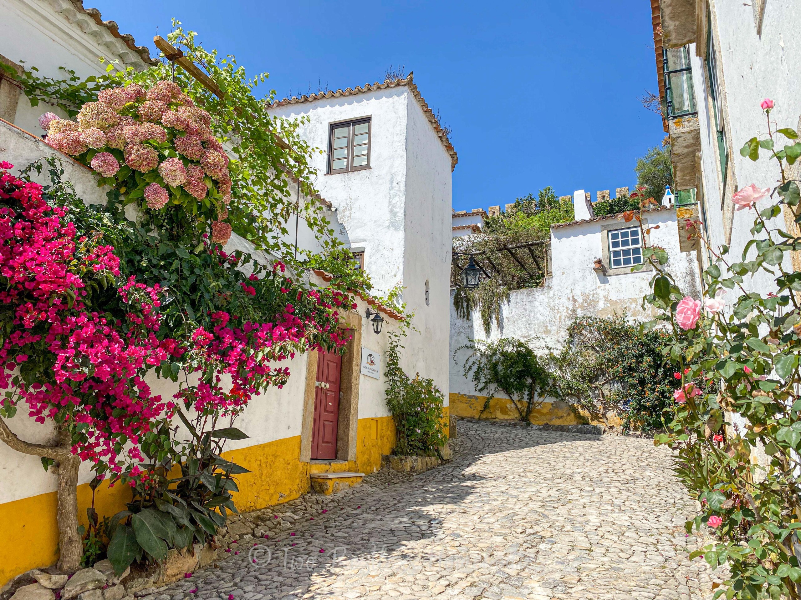 Obidos - buildings and hydrangeas - Two Restless Homebodies