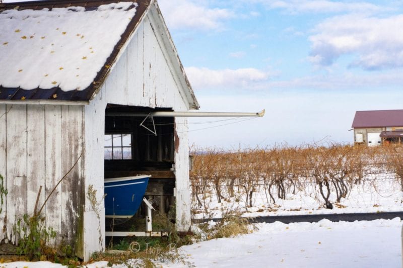 Seneca Lake vineyard and boat shed in snowy winter